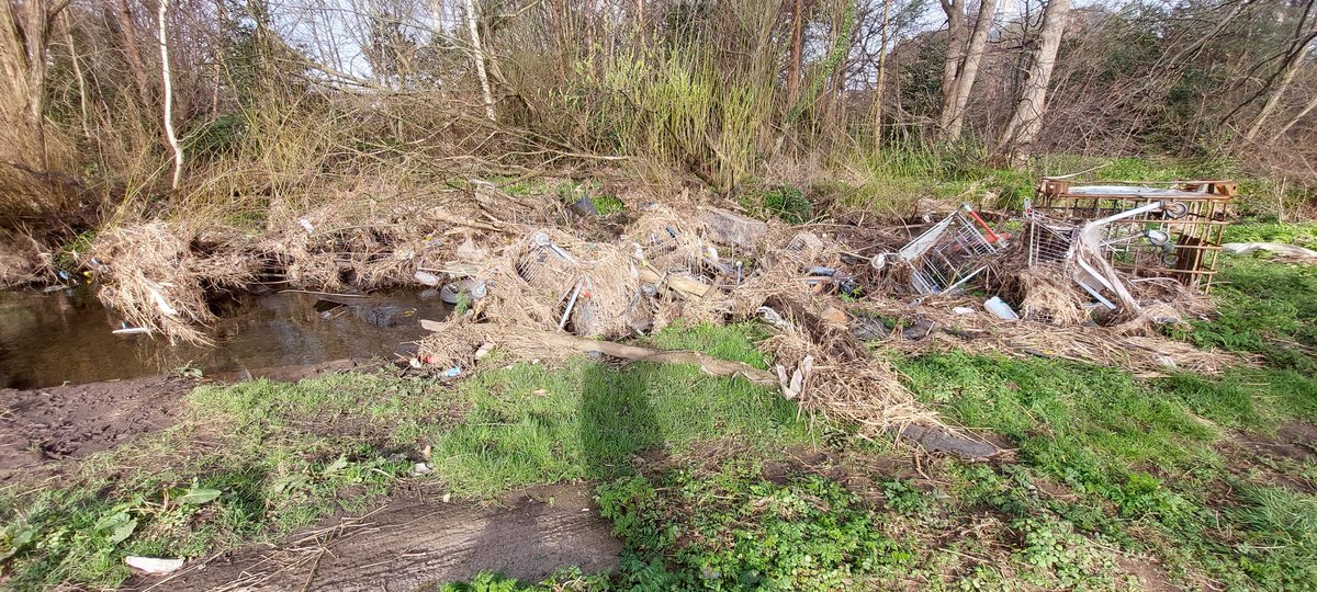 Mandy Hudson-Windsor tweet media