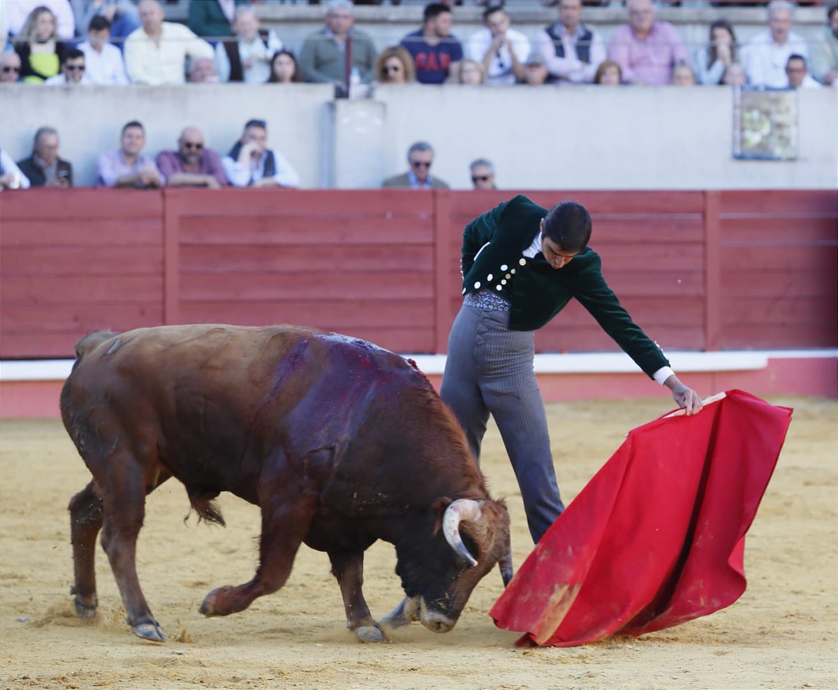 Miguel Ángel Perera on Twitter "🔴 𝗗𝗢𝗡 𝗕𝗘𝗡𝗜𝗧𝗢 Con la muleta, toreó