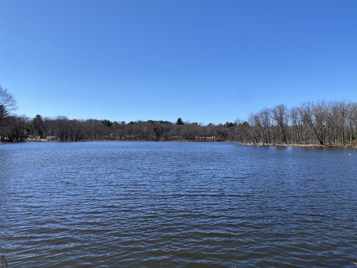 zebeszebra's tweet photo. #AprilWaterChallenge at #BullPond in #HarwintonCT #CTLandTrusts https://t.co/2GRg46vCXp