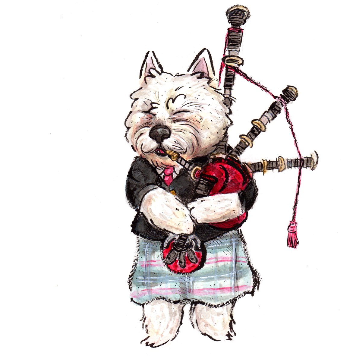 #finished #watercolour #watercolor #illustration #petportrait #westie #westhighlandterrier #DogsofTwitter #woof #woofwoof #music #musician #bagpipes #bagpiper #scotland #scottish #dog #sunday #SundayMotivation #drawdrawdraw #paintpaintpaint #illustrator