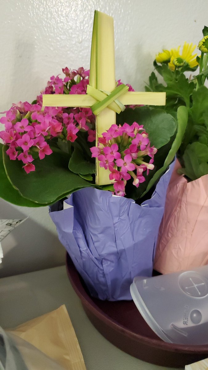aquariusmld's tweet photo. Blessings to all this Palm Sunday https://t.co/8lgIQyRtLp