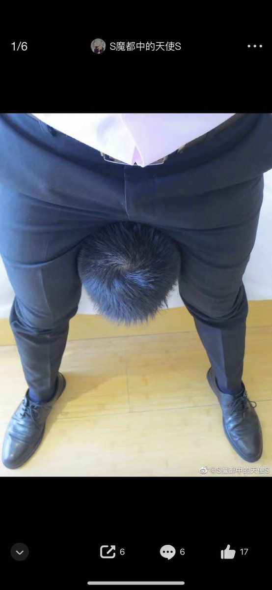 裤裆夹狗头S tweet media