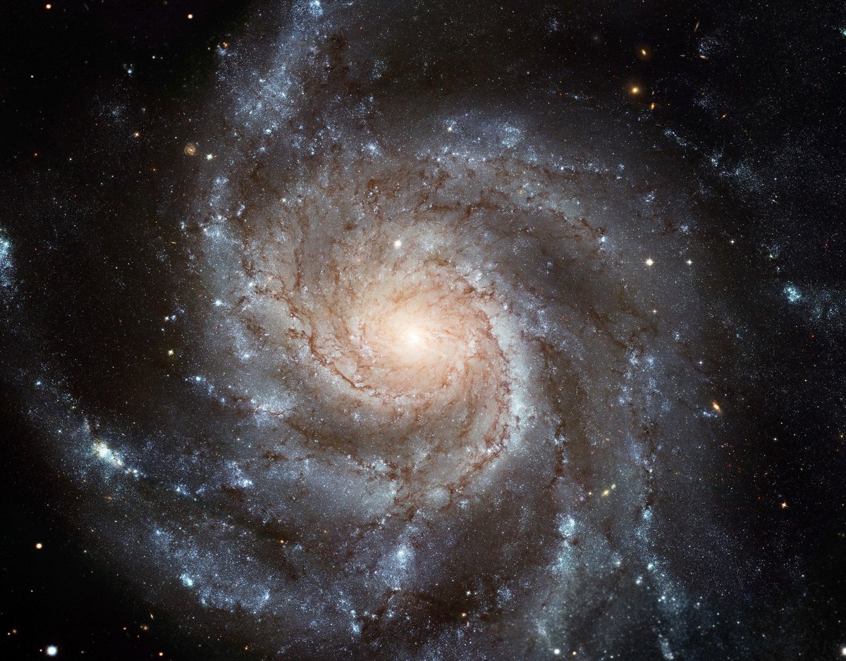 aixaraxia's tweet photo. Spirals in Nature
📸Christopher Berry
📸NASA/GSFC, Jacques Descloitres
📸European Space Agency &amp; NASA
📸Flickr, brucecarlson66 https://t.co/9llVz7EFty