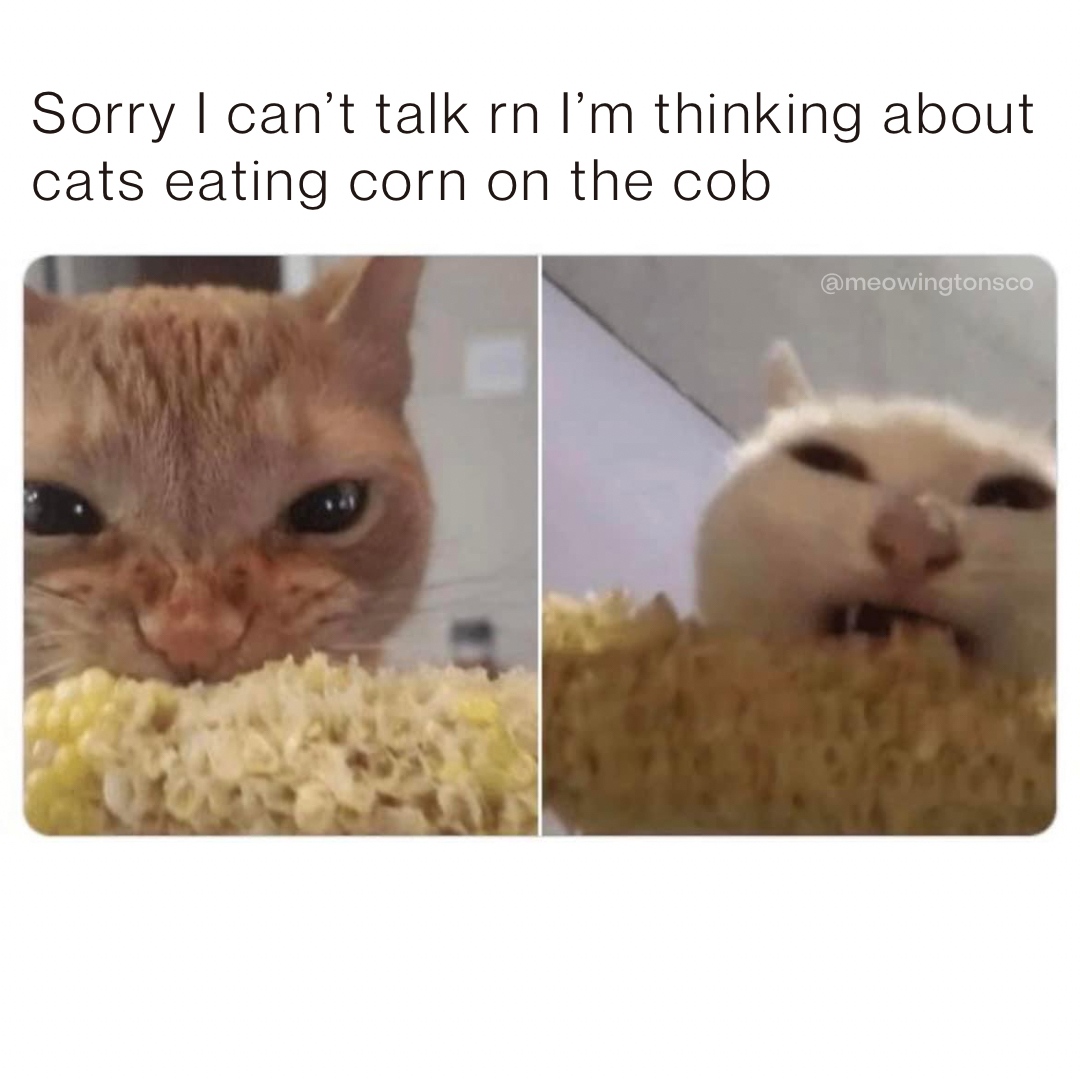 WholesomeMeme's tweet photo. https://t.co/iYXBWCyAS3