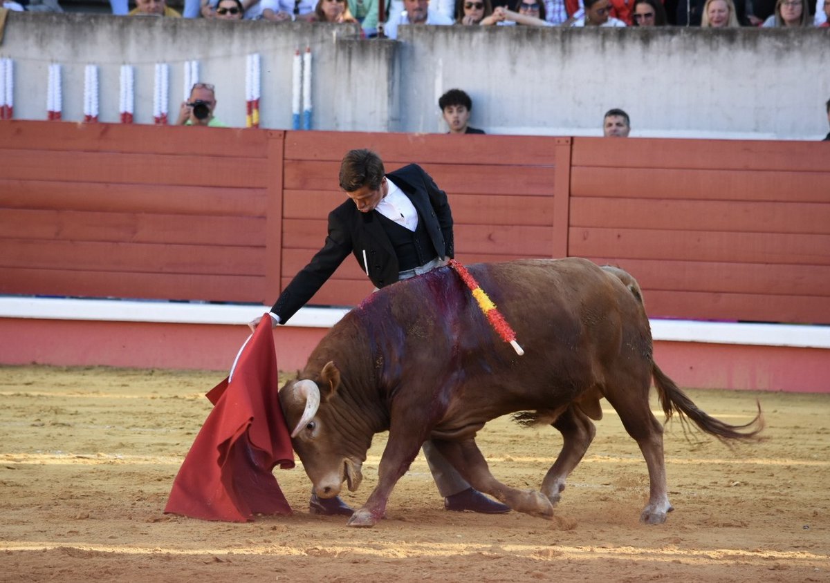 FESTEJOS.- Indulto del Juli y dos orejas y el rabo para Perera y "El Mella" en Don Benito <a href="/mar_toros/">Mar Toros S.L.</a> <a href="/elJuli/">El Juli</a> <a href="/aletalavante/">Alejandro Talavante</a> <a href="/InfoMAPerera/">Miguel Ángel Perera</a> <a href="/JMManzanares/">JM Manzanares</a> (Fotos: José Campos <a href="/JoseACamposC/">Jose Campos</a>) burladero.tv/festejos/2023/…