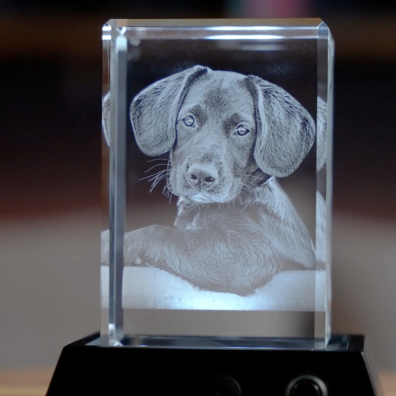 Masterpics_3D's tweet photo. The Perfect Father's Day Gift 💜✨
Up to 40% OFF + Free Shipping