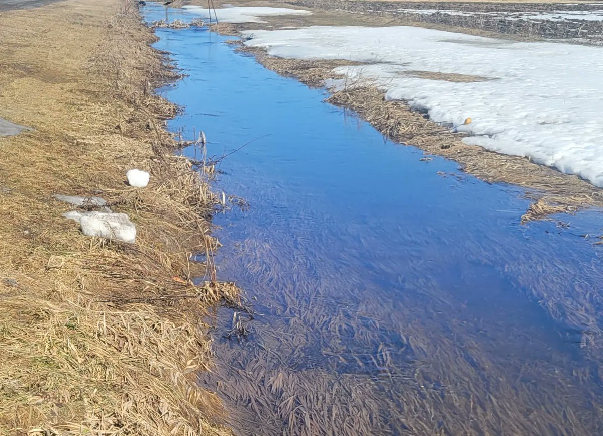 Foster Family Farm tweet media
