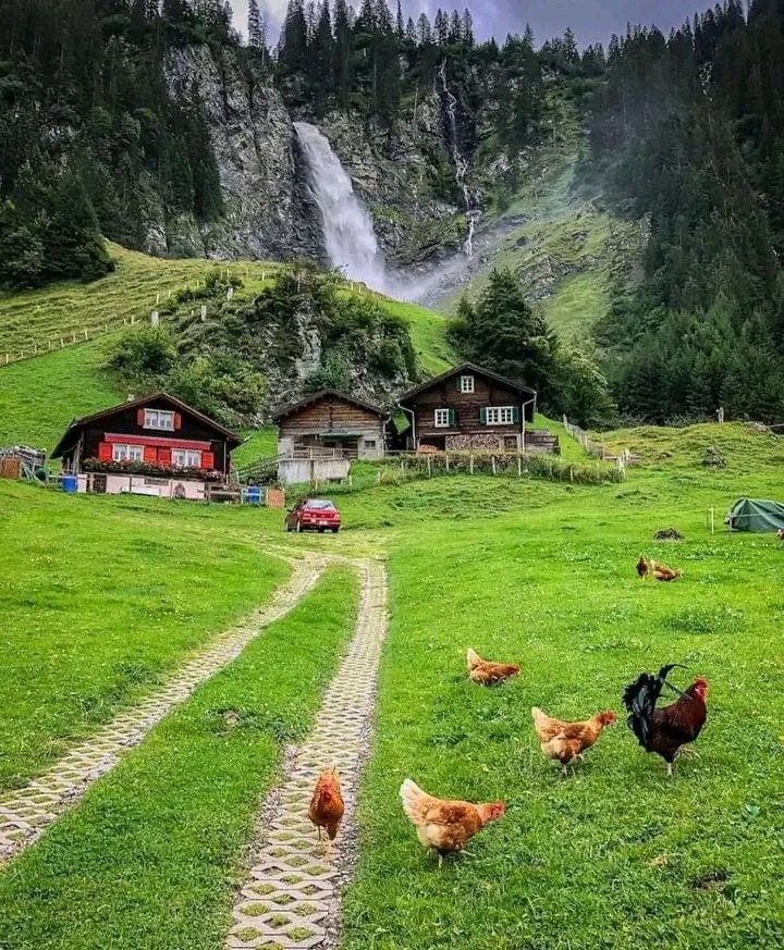 ...🏠💑🏠💑🏠💑💑🏠💑

...🤔💕🤔💕🤔💕🤔💕🤔
.<a href="/Danieli405/">Danielis</a> <a href="/Golden7635/">Golden</a> <a href="/Ortega799/">Ortega</a> <a href="/Yeniffe24/">Yeniffer</a> <a href="/Sam78957/">Sam</a> <a href="/Jasmin8203/">Jasmin</a>  <a href="/Josefinc055/">Josefina</a> <a href="/Mippcivzla/">mippci</a> <a href="/ArelisSnchez18/">✨ Arelis Sánchez ✨</a> <a href="/Arelys_50/">Arelys</a> <a href="/cpmarp21/">CpMarp21 🐾🐾</a> <a href="/Claudia06188476/">🦋💞Claudia💞🦋</a> <a href="/jmhgomez1/">@Jmhgomez</a> <a href="/Jonatha718/">Aquiles Salazar 🌜🇻🇪🌛</a> <a href="/Olinto012/">Jose Gomez</a> <a href="/lilianari_01/">liliana Apoyo el emprendimiento nacional</a>
.#DomingoDeRamos
