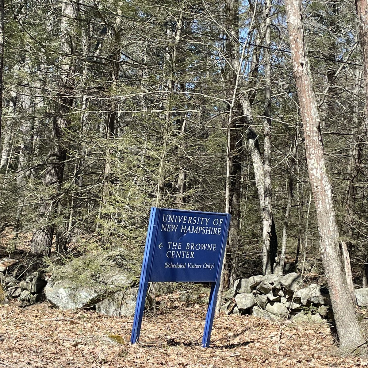 AlexTalcott's tweet image. #collegetown treasure #DurhamNH @UofNH