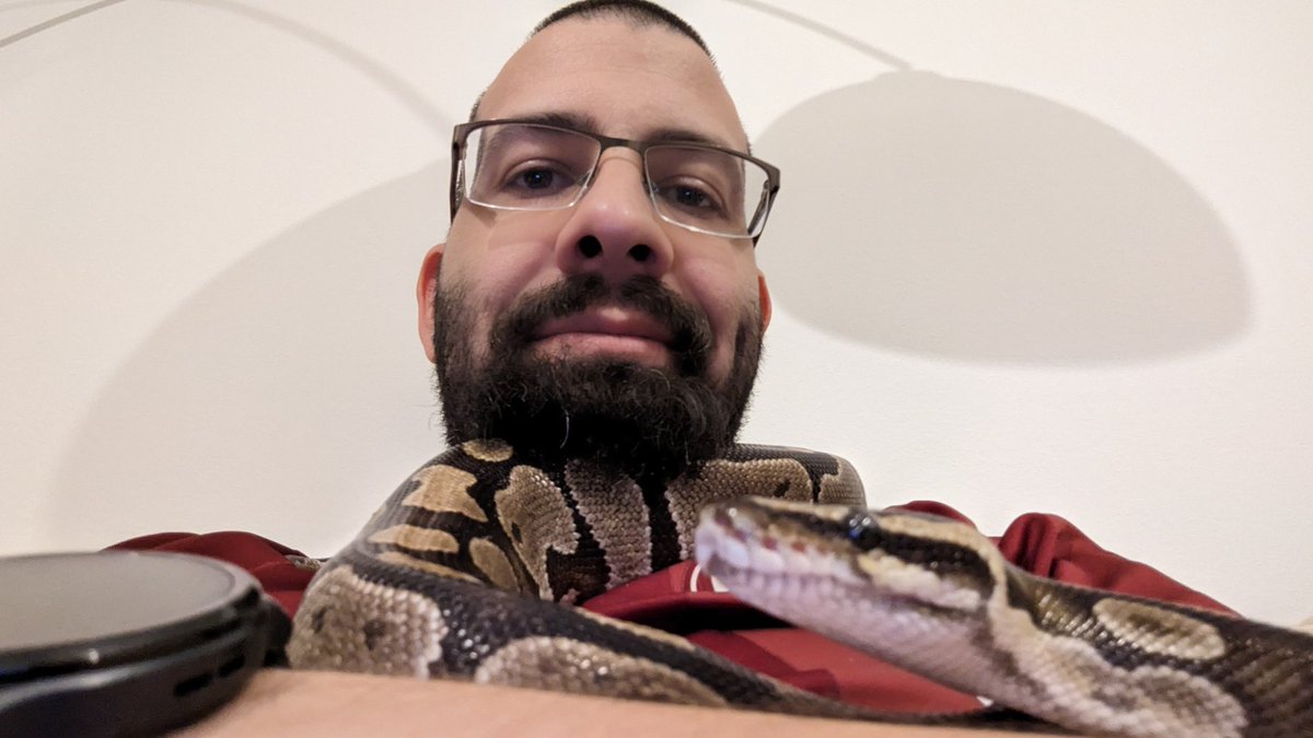 Dude_Lind's tweet image. Werde belagert... 🐍❤️ #Königspython 
Wir kennen uns seit 20 Jahren und er ist eine der relaxesten die ich kenne. Kuschelpython.
