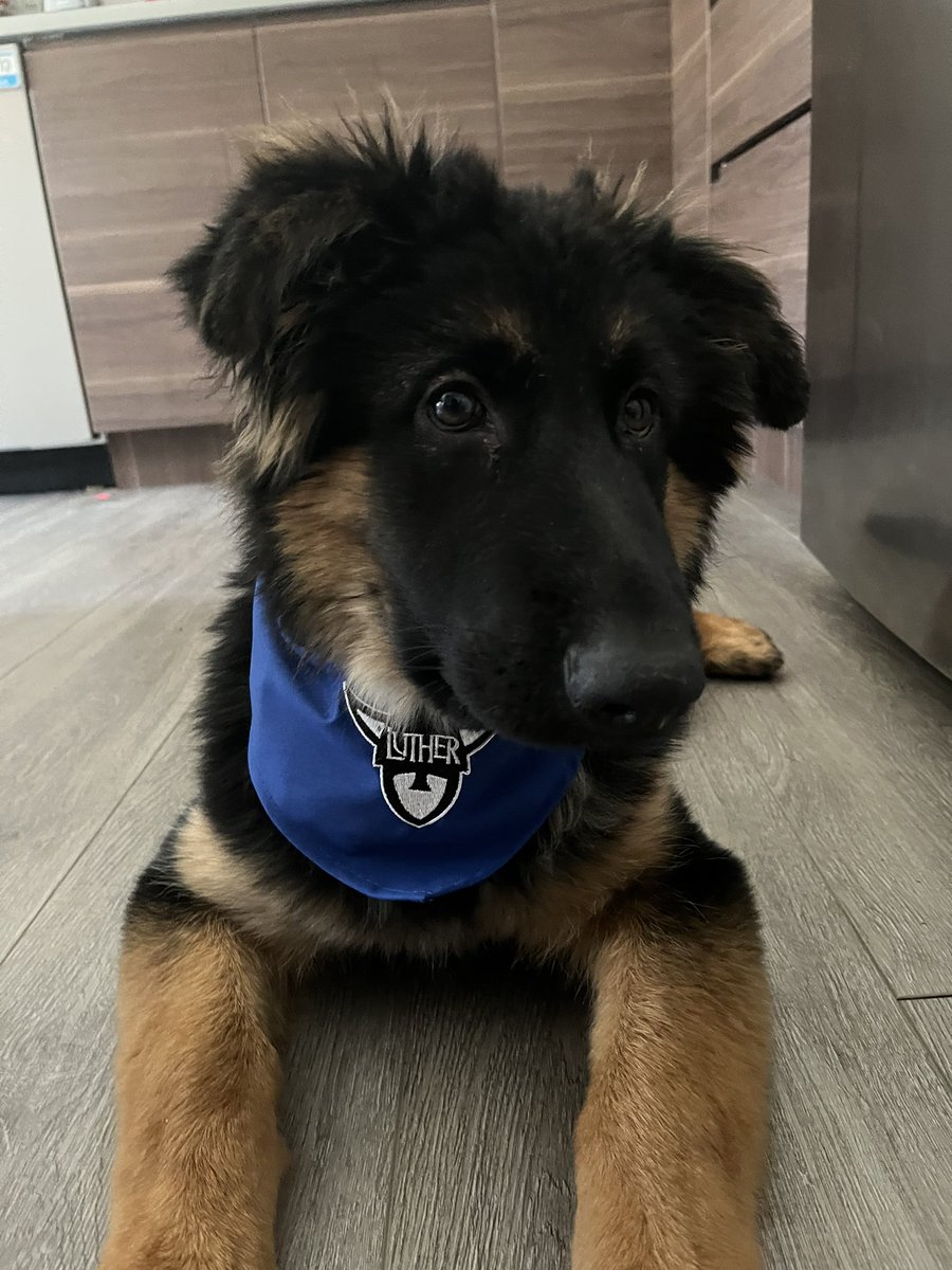 We are full of Norse fans in our house,