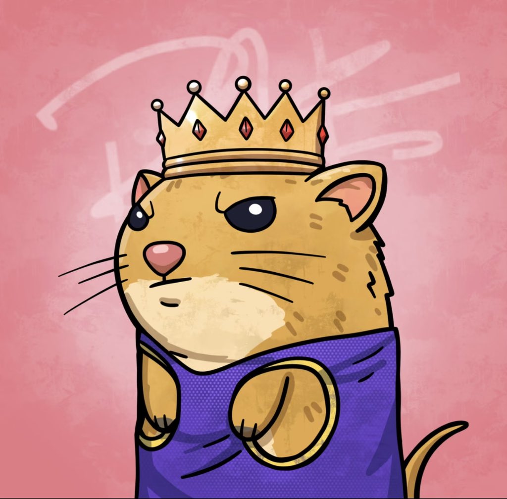 shred1 🦂 tweet media