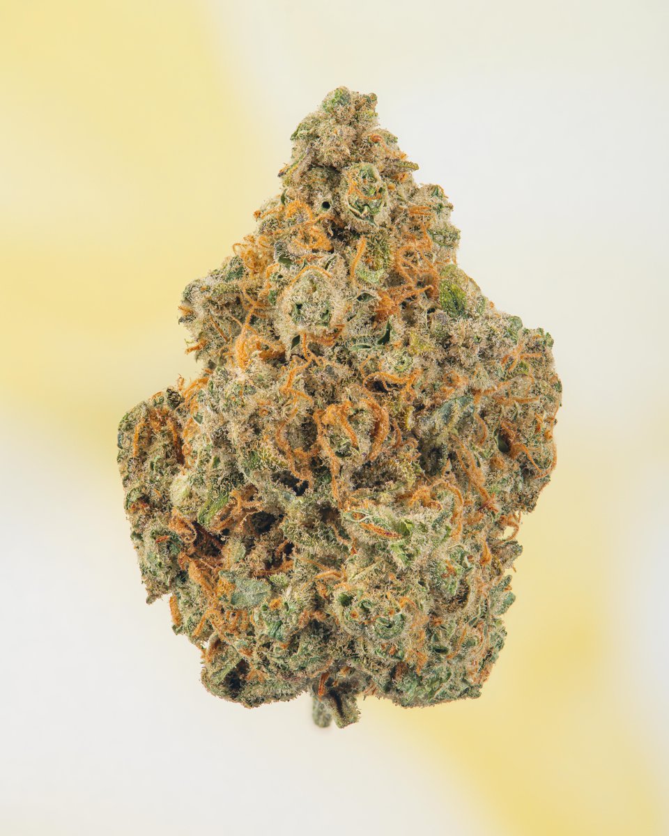 MadCow grown { TangEray } 🍋🌴 Citrus and pine aroma ...