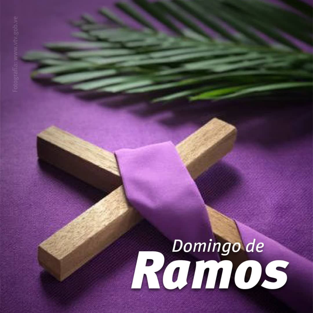 Feliz noche 🌟💫
💠 #DomingoDeRamos 
<a href="/Carlitos_G777/">𝒞𝒶𝓇𝓁ℴ𝓈 𝒢𝓊ℯ𝓇𝓇𝒶</a> <a href="/YuniBurgos/">Y💗U💓N💕I. 💛💙❤👪❤💙💛</a>
<a href="/MayraPri21/">Mayra</a> <a href="/quiskillosa/">Quiskillosa</a>
<a href="/yayita_56_56/">yayita_56_56</a> <a href="/Alask29/">Vallerlin Canelón</a>
<a href="/RomerPSUV/">#𝕮𝖔𝖒𝖆𝖓𝖉𝖔 𝕿𝖚𝖎𝖙𝖊𝖗𝖔★</a> <a href="/yami2336/">yami3020</a>
<a href="/jmhgomez1/">@Jmhgomez</a> <a href="/clap4f2/">@clap4f2</a>
<a href="/luibustilloso/">luis Bustillos</a> <a href="/cpmarp21/">CpMarp21 🐾🐾</a>
<a href="/Valeria_GR76/">🌹 Valeria 🌹</a> @BEBANEGRA
<a href="/yulian_amor/">yulianny</a> <a href="/Ana_RoGV/">𝒜𝓃𝒶 𝒫𝒶𝑜𝓁𝒶... 🌺👩‍🌾</a>
<a href="/freddyp44055243/">FreddyParedes</a> <a href="/estr3mao1411/">🇻🇪☕Vicente Flores☕🇻🇪</a> <a href="/Mercede073/">🍂 мєяςє_fιиα2🍂</a>
<a href="/RazziLuis/">Robert Mora</a>