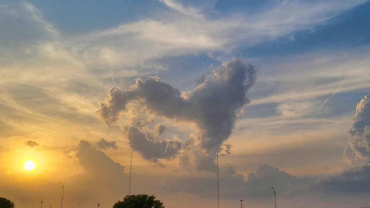 techvamp's tweet photo. There's a whole in my heart ❤️
#ShotOnSnapdragon #ZFlip3 https://t.co/joyc5jHqwj