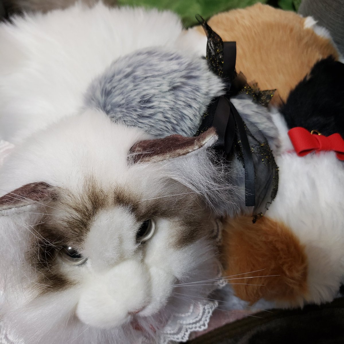 mikolin_robo's tweet image. 幸せのかたまり

#moflin #metacat #meowever