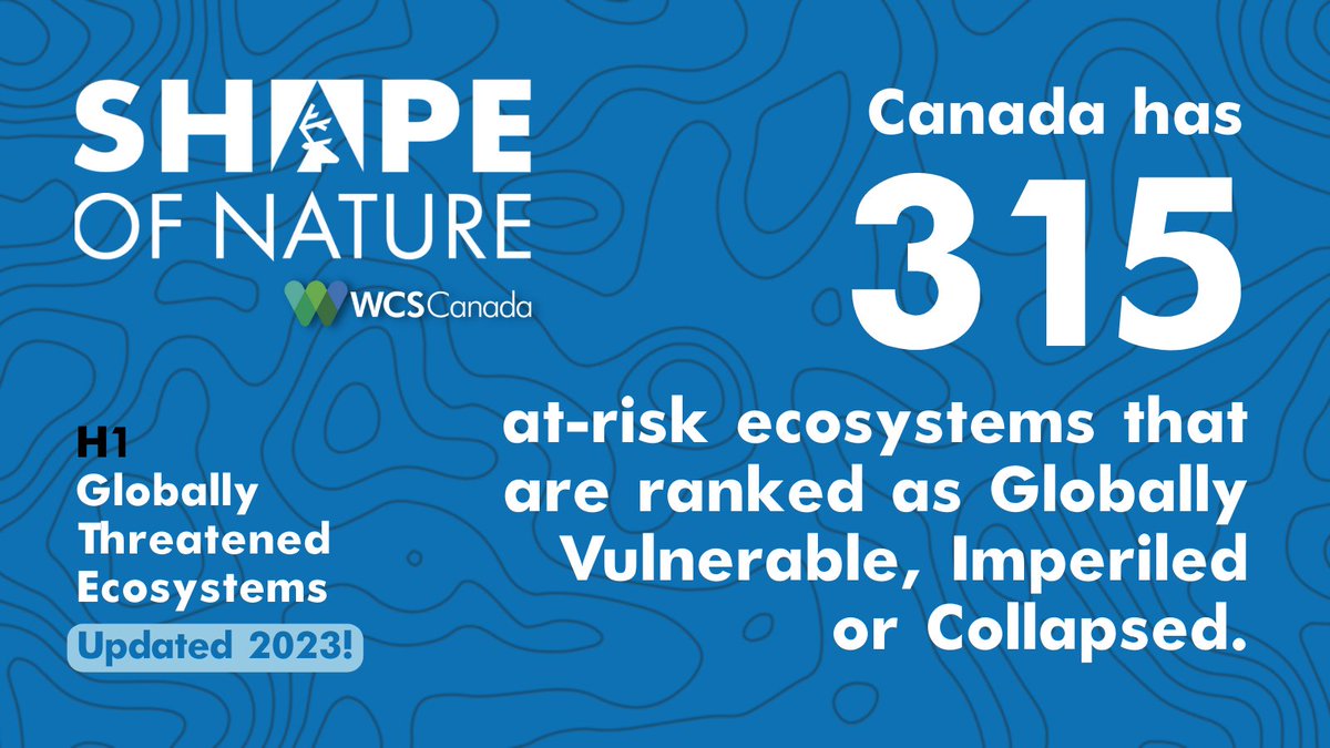 WCS_Canada's tweet photo. ๐ฑ 15 ecosystems in Canada are now included on the @IUCNRedList of Ecosystems. This list is growing as additional assessments are in progress.
Check out the #SHAPEofNature 2023 updates! ๐ฟ https://t.co/SBPyMWBfwR https://t.co/5SiKvWezoh