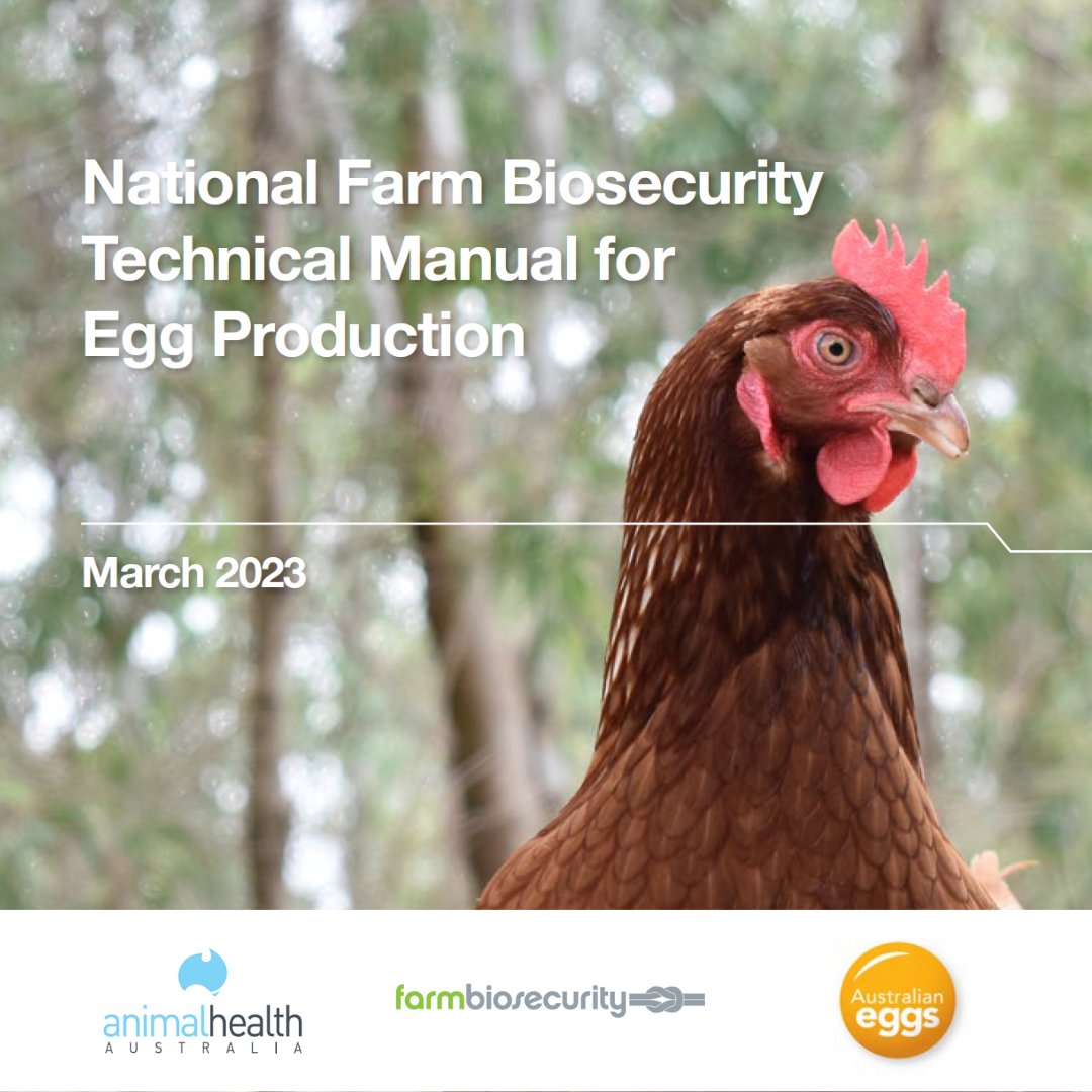 📣 Egg producers, check out the updated Mar '23 National Biosecurity Technical Manual for Egg Production!

Protect your livestock with the latest best practices: farmbiosecurity.com.au/industry/eggs/ 
🥚🐔

@AustralianEggs
#AnimalHealth #EggProduction #Biosecurity #Australia #AusAg #AgTwitter