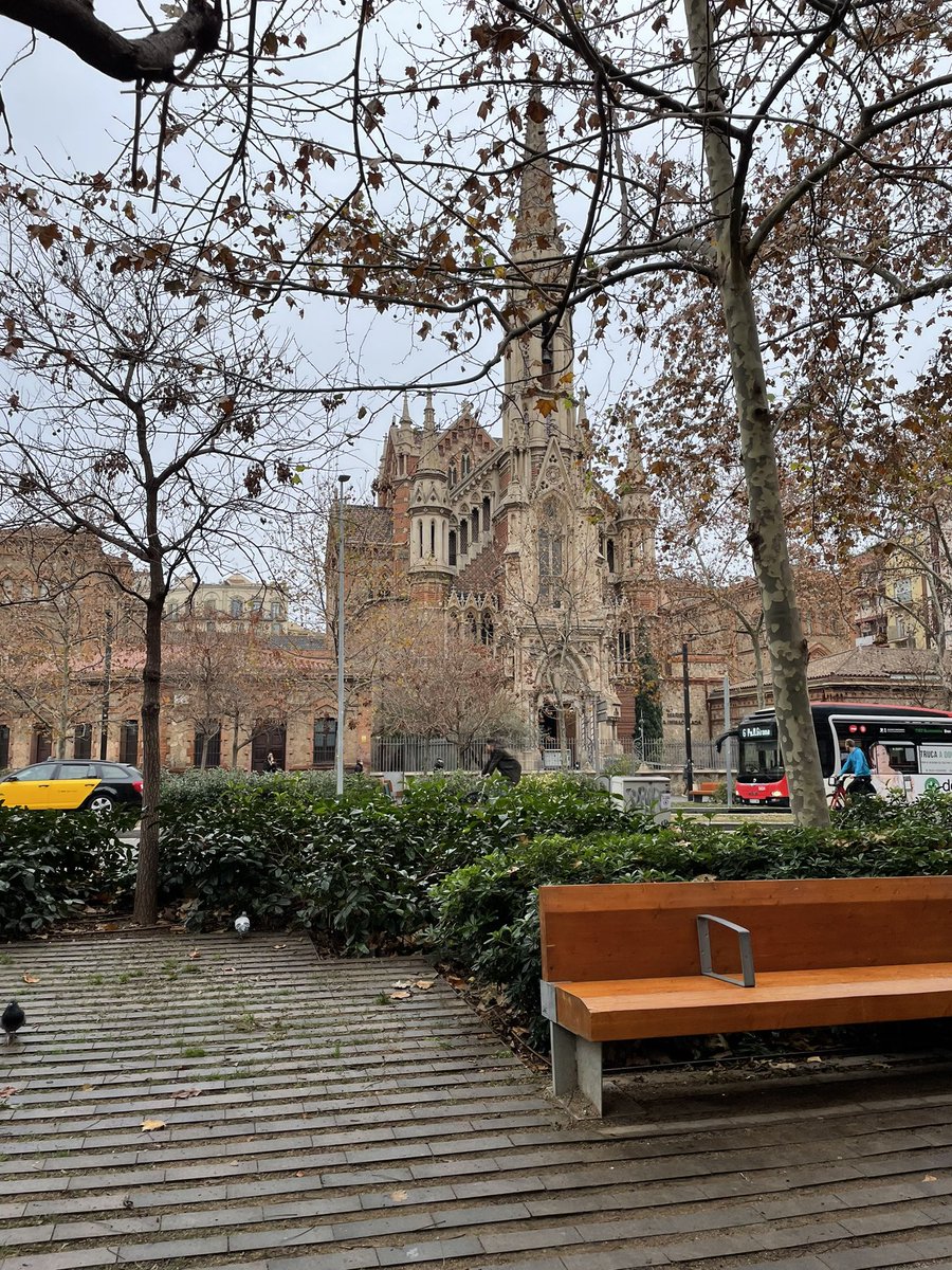 Banquitos lindos en veredas rodeadas de arboles y arbustos, varias opciones de transportes públicos (tren, metro, buses lindos). Por supuesto que también quiero gente responsable que cuide y mantenga todo lo anterior.