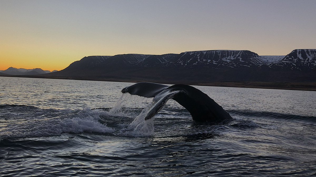 Unnur Birta (@unnurbirtaa) on Twitter photo 