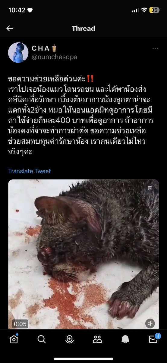 ส้มล์ส้มล์ ⋆𐙚₊˚⊹♡ tweet media