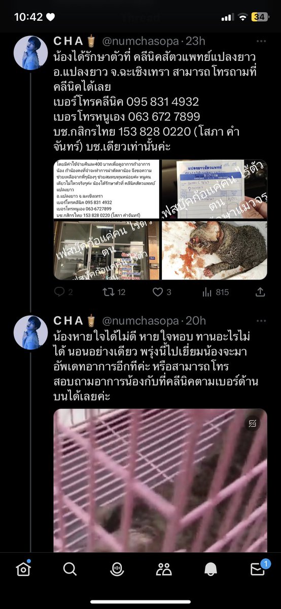 ส้มล์ส้มล์ ⋆𐙚₊˚⊹♡ tweet media