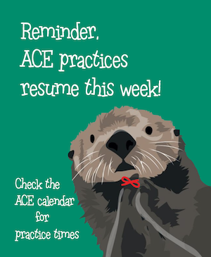 ACEOtters tweet media