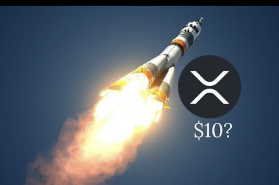 Shawn Rouhani tweet media