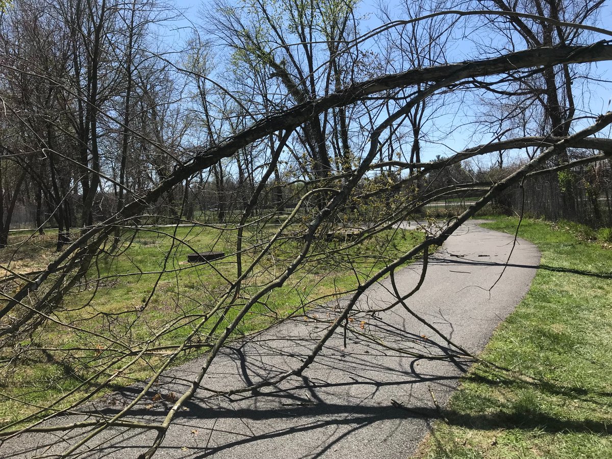 This issue may have already been resolved but wanted to let people know there are trees down on one part of the Anacostia Tributary Northeast Branch Trail.

#bikedc #BikePGC  #Anacostia Tributary #BikeMD