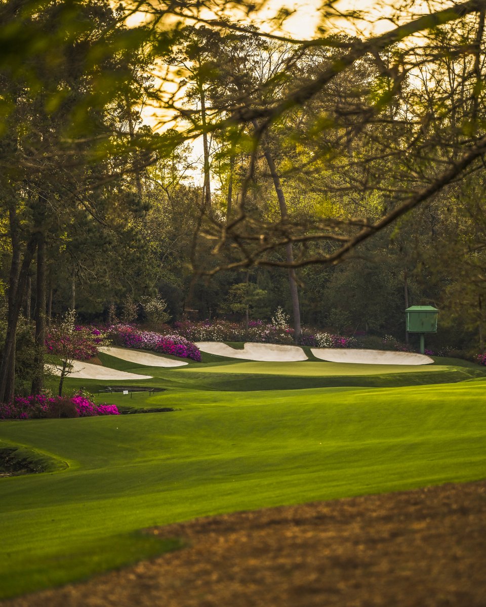 It's <a href="/TheMasters/">The Masters</a> week 🌺