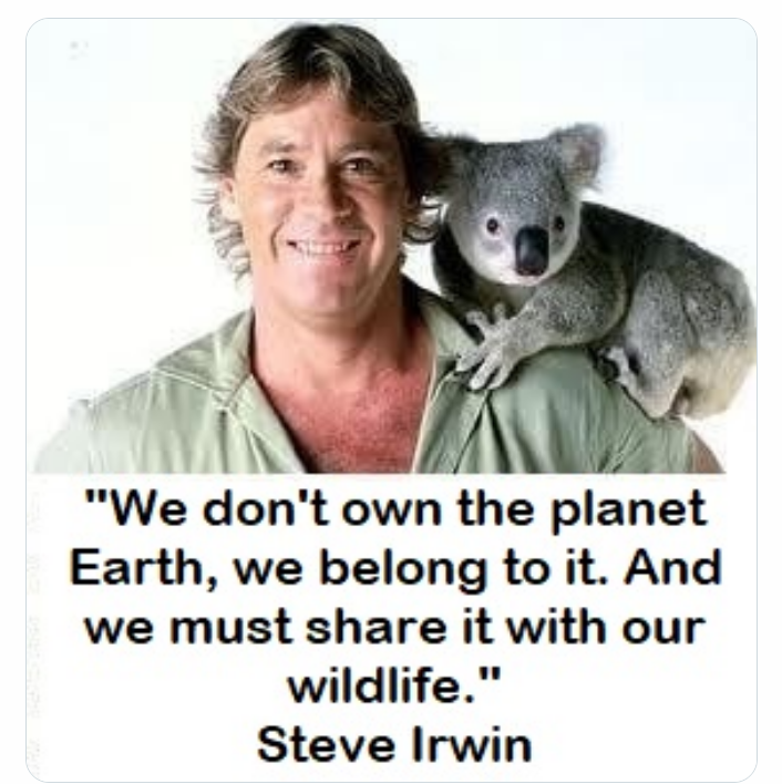 KHSRC1's tweet photo. Such an #important and #wise statement – why don’t we listen to it more?
🐨🌿
@AustraliaZoo
#SteveIrwin #CrocodileHunter #CrocsRule #KoalasRule #Conservation #Wildlife #WildlifeConservation #MondayMotivation #MoralMonday #MondayFunday #Australia #Coexist #WildlifeWarriors https://t.co/TdQDfQNbi7