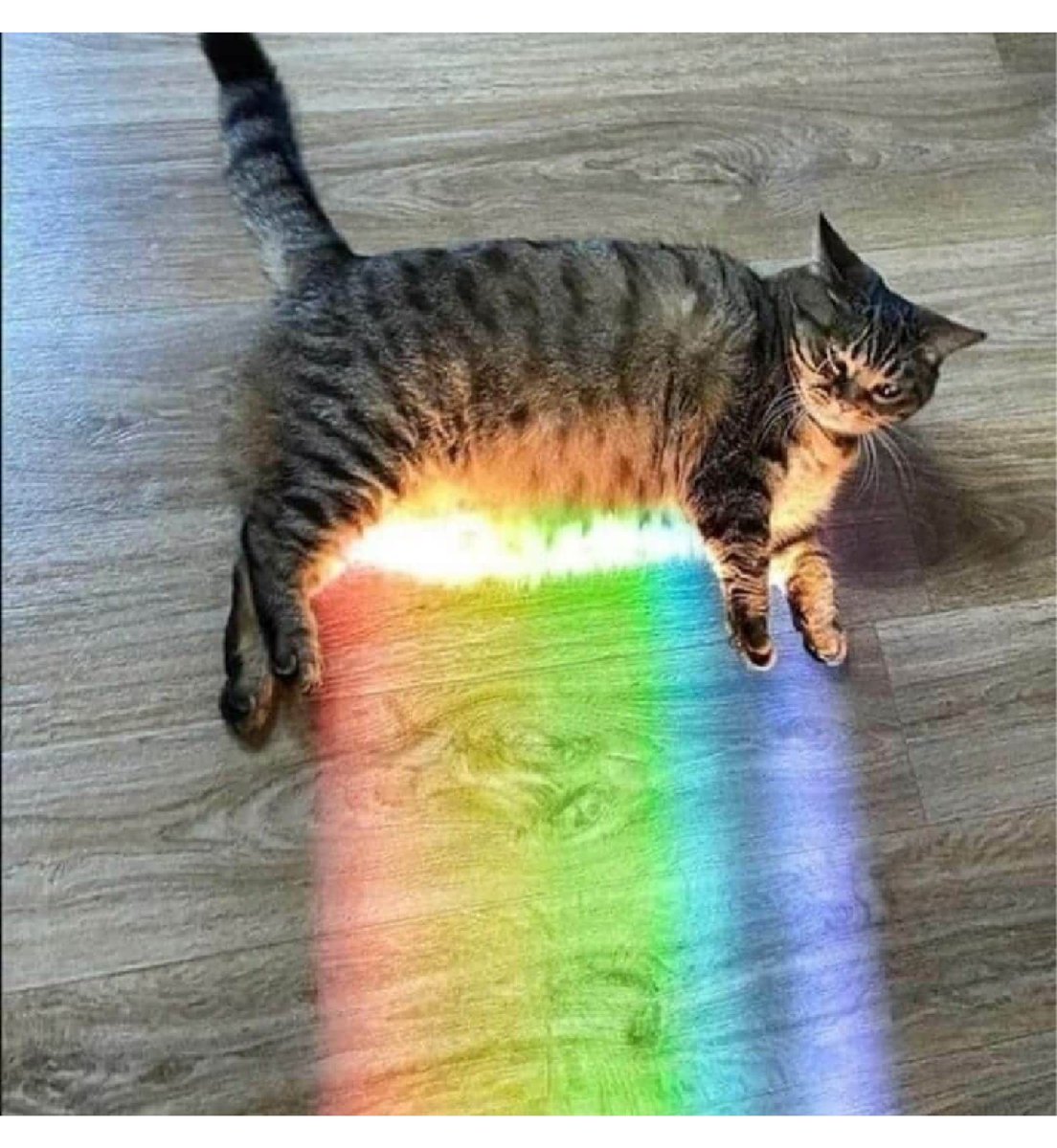 kapebeansies's tweet photo. https://t.co/zmVyhDN1E2