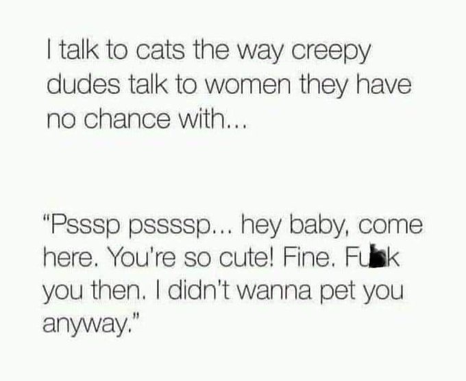 Come here kitty... https://t.co/sXMrI04op0