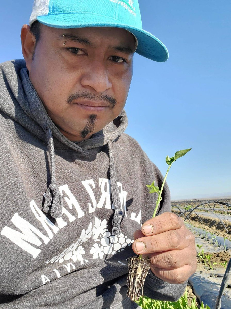 United Farm Workers tweet media