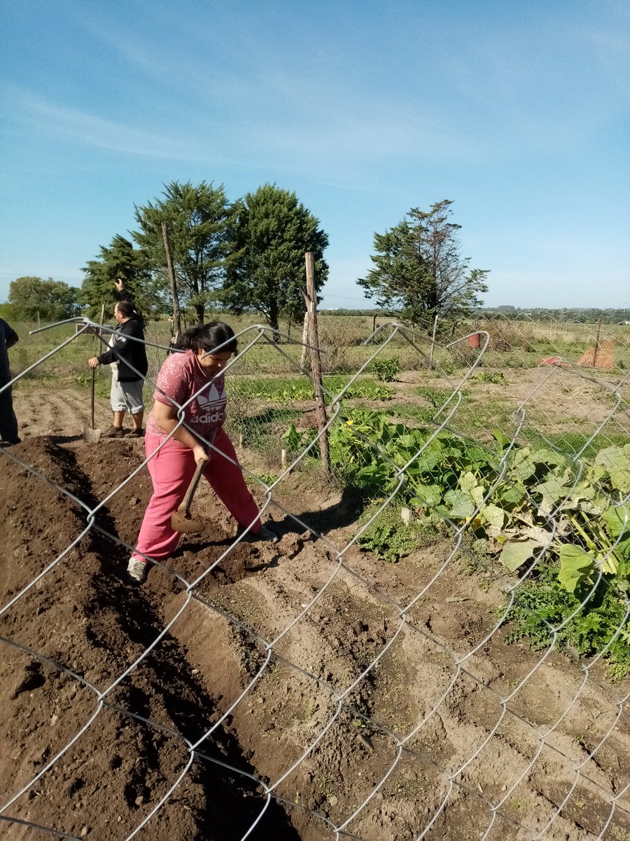 MariaCapo7122's tweet photo. Hoy retomamos las actividades por la huerta comunitaria. Preparamos canteros para q los niños del @SeisBarrios, vengan a sembrar y a disfrutar en estas vacaciones. 🌱💪 https://t.co/pmmvqpAs2u