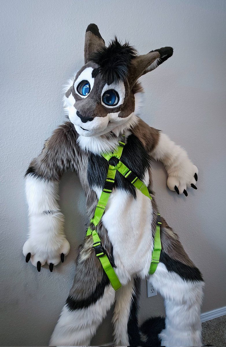Gengi Cabbit tweet media