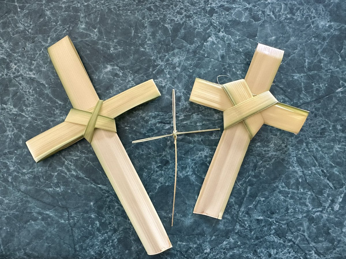 BarbSSpies's tweet photo. Palm Sunday! Hosana! https://t.co/o1vdoGV9JB