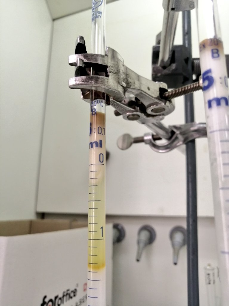 Vayanna Makri tweet media