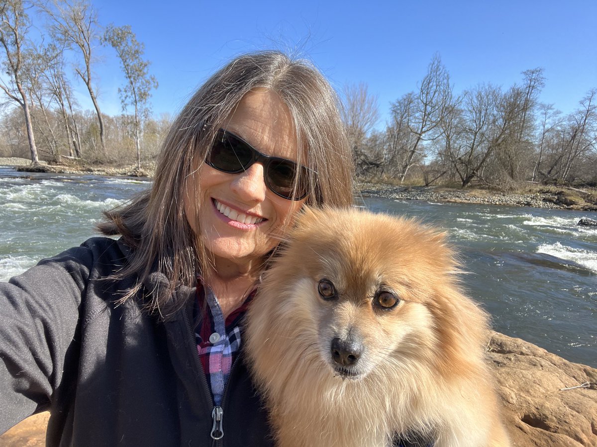 Diane_Y's tweet photo. We love our daily walks! #hikewithdogs #AmericanRiver #outdoors #nature #lovemypup https://t.co/RxkOOePPHq