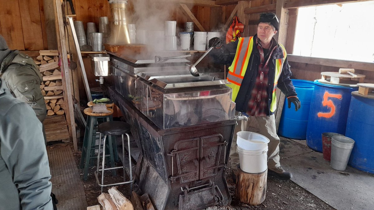 🐲DJ CYBER THE DROLF🐺 🎧CEO OF FURRY RAVES🎛🎛 tweet media