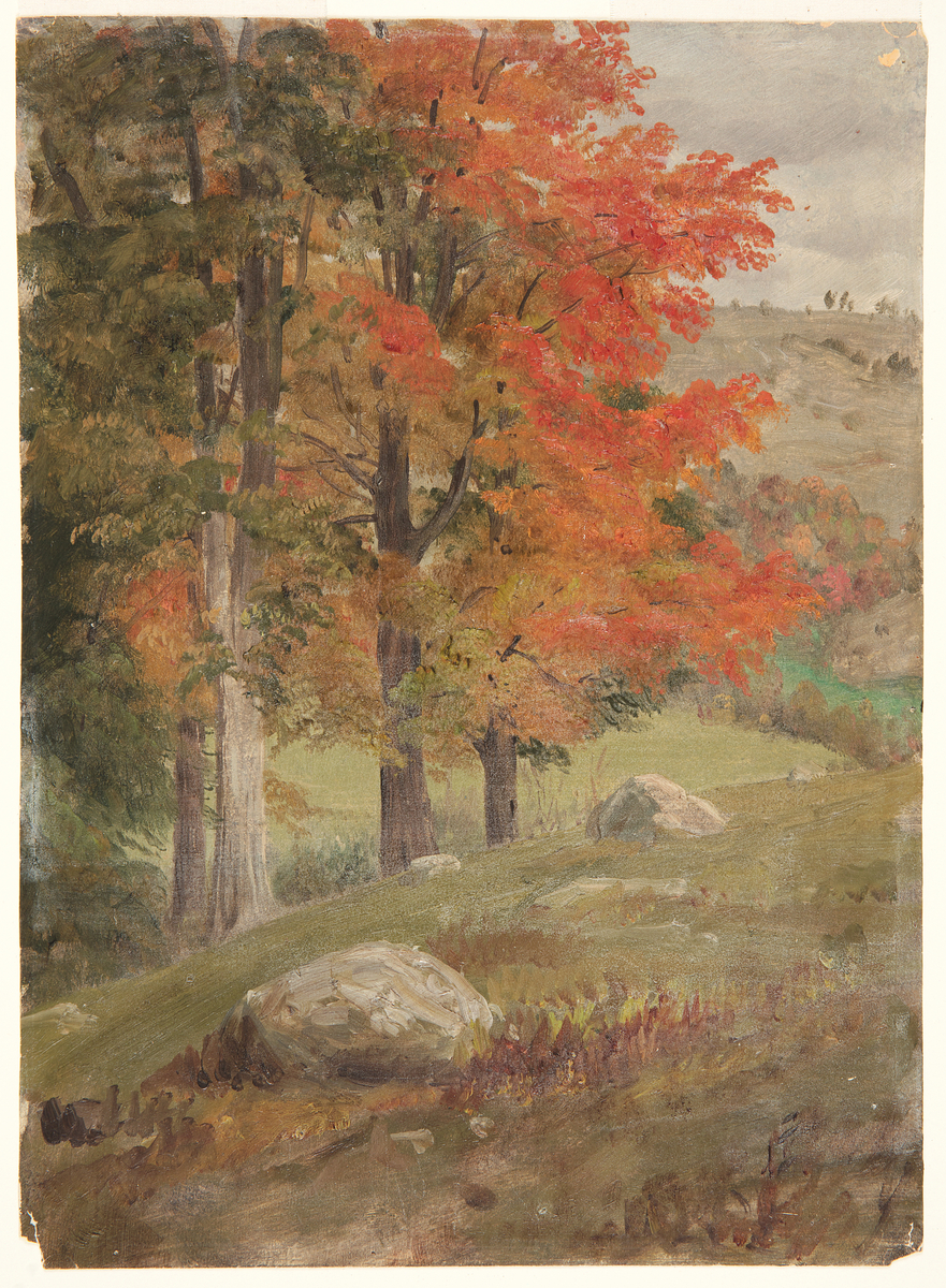 artistfechurch's tweet photo. Frederic Edwin Church, Woods in Autumn, 1865 #cooperhewittdesignmuseum #chndm https://t.co/W5084qZhVd https://t.co/d6n2xn2a3T