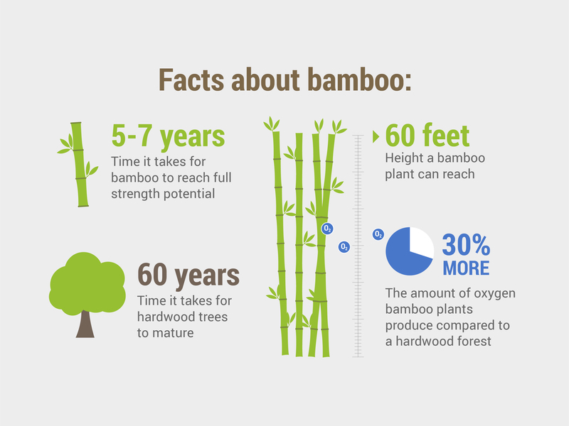GetBambooGold's tweet photo. Join us on our platform to discover the amazing benefits of bamboo - a fast-growing, tall, and oxygen-producing wonder plant that's paving the way for a sustainable future! https://t.co/QxZpCDW5up