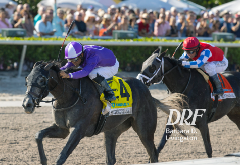 Daily Racing Form on Twitter: