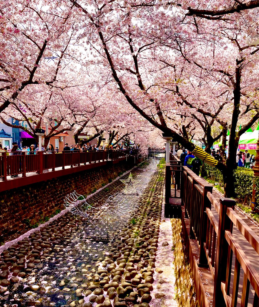 Cory Collins tweet media