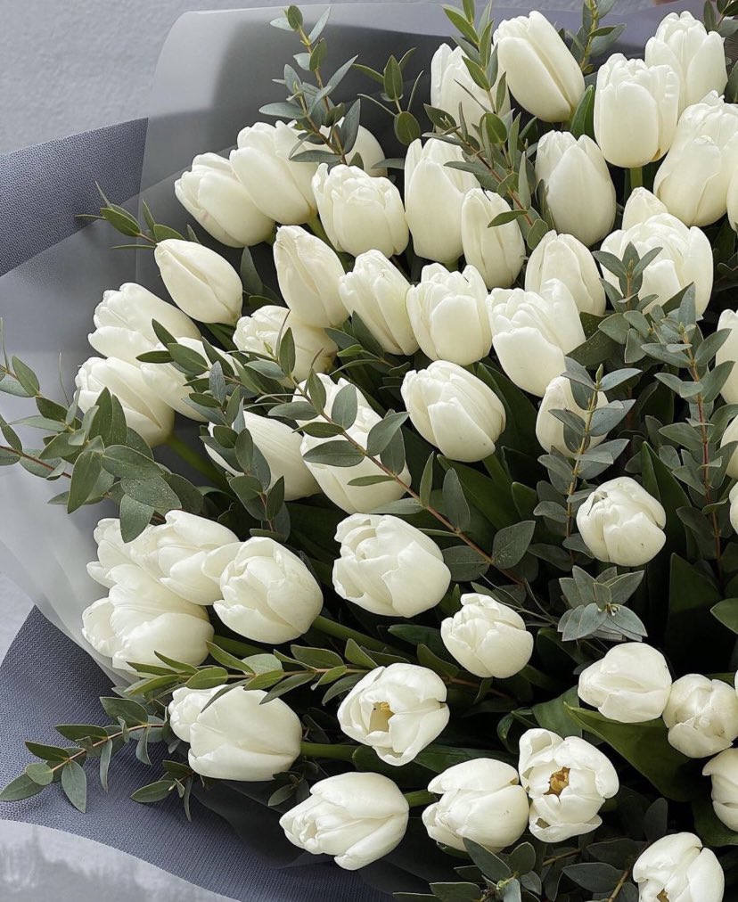 beyaz lalelerin guzelligi 🤍