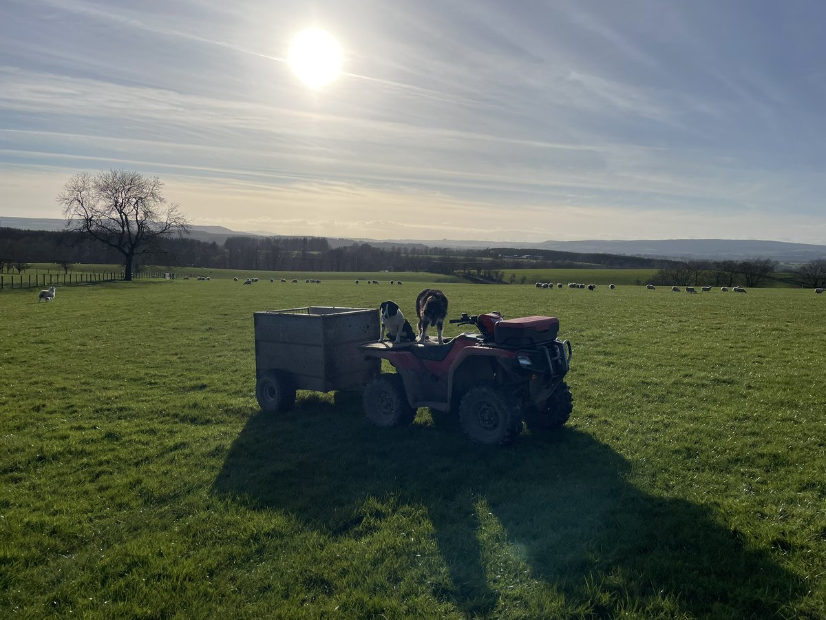 Stuart Graham tweet media