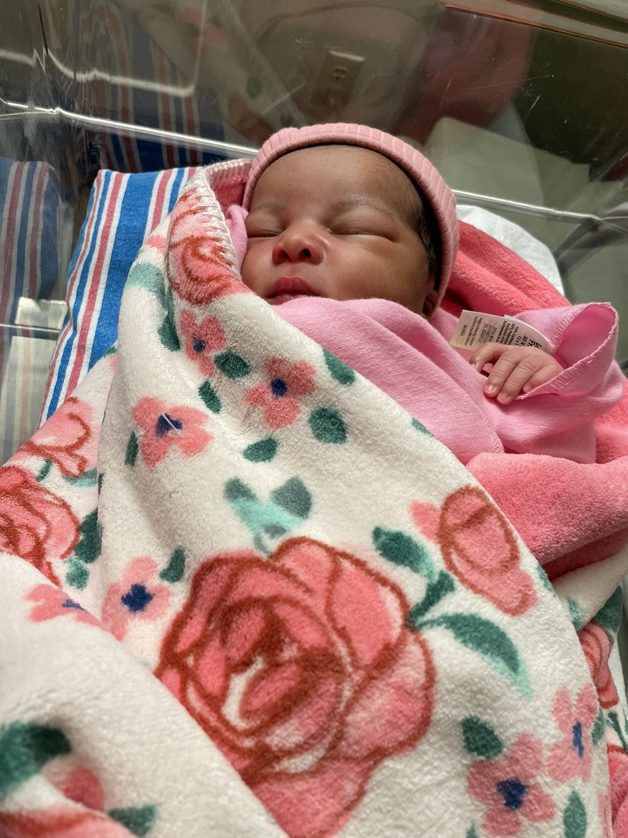 MDO Jacksonville 5945 tweet media