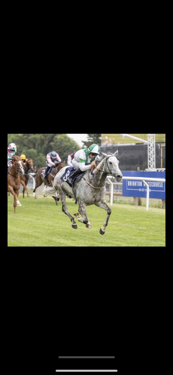 BATBRACING tweet media