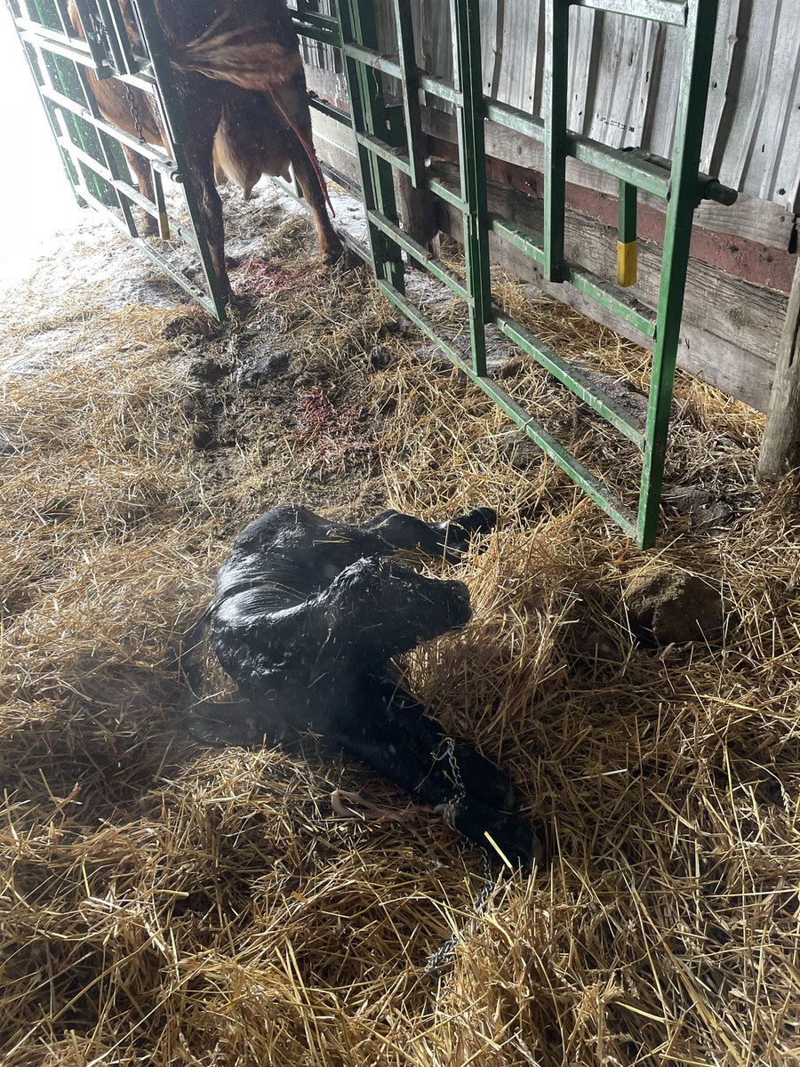 Barb Kristjansson 🇨🇦 tweet media