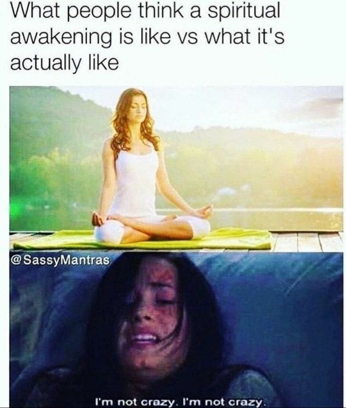 𝕷𝖆𝖚𝖗𝖆♡︎🪷🦂 tweet media